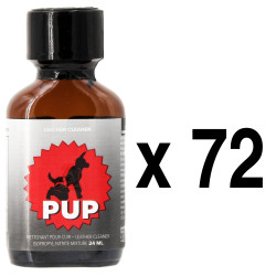BGP Leather Cleaner PUP 24ml x72